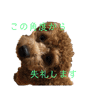 ライちゃんの可愛いスタンプ2（個別スタンプ：15）