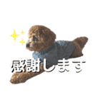 ライちゃんの可愛いスタンプ2（個別スタンプ：22）