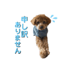 ライちゃんの可愛いスタンプ2（個別スタンプ：25）