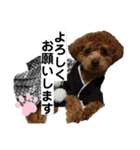 ライちゃんの可愛いスタンプ2（個別スタンプ：29）