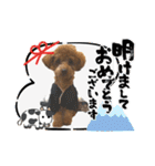 ライちゃんの可愛いスタンプ2（個別スタンプ：30）