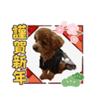 ライちゃんの可愛いスタンプ2（個別スタンプ：31）