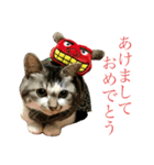芽衣ちゃん お正月（個別スタンプ：1）