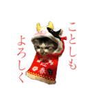 芽衣ちゃん お正月（個別スタンプ：2）