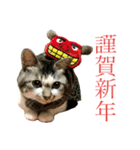 芽衣ちゃん お正月（個別スタンプ：3）