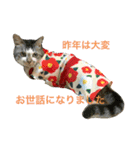 芽衣ちゃん お正月（個別スタンプ：4）