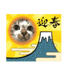 芽衣ちゃん お正月（個別スタンプ：5）