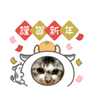 芽衣ちゃん お正月（個別スタンプ：6）