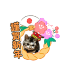 芽衣ちゃん お正月（個別スタンプ：9）
