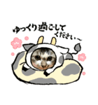 芽衣ちゃん お正月（個別スタンプ：13）