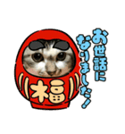 芽衣ちゃん お正月（個別スタンプ：14）