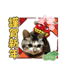 芽衣ちゃん お正月（個別スタンプ：15）