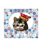 芽衣ちゃん お正月（個別スタンプ：16）