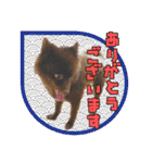 KumaKikiDâ20201222（個別スタンプ：6）