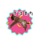 KumaKikiDâ20201222（個別スタンプ：17）