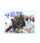 KumaKikiDâ20201222（個別スタンプ：18）