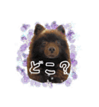 KumaKikiDâ20201222（個別スタンプ：22）