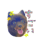 KumaKikiDâ20201222（個別スタンプ：24）