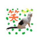 KumaKikiDâ20201222（個別スタンプ：30）