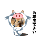 いぬのあいさつ！！（個別スタンプ：1）