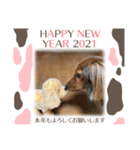 いぬのあいさつ！！（個別スタンプ：6）