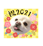PEACE2021（個別スタンプ：1）