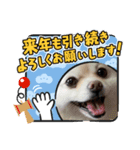 PEACE2021（個別スタンプ：2）
