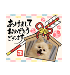 PEACE2021（個別スタンプ：3）