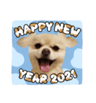 PEACE2021（個別スタンプ：4）