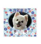 PEACE2021（個別スタンプ：5）