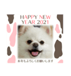 PEACE2021（個別スタンプ：8）