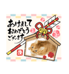 Ginger Tabby Cat 年末年始2021（個別スタンプ：2）