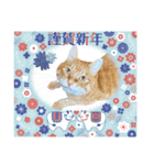 Ginger Tabby Cat 年末年始2021（個別スタンプ：3）