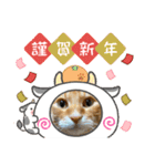 Ginger Tabby Cat 年末年始2021（個別スタンプ：6）