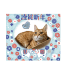 Ginger Tabby Cat 年末年始2021（個別スタンプ：12）