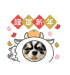 小梅ちゃんお正月バージョン（個別スタンプ：3）