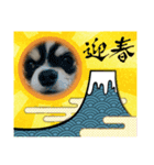 小梅ちゃんお正月バージョン（個別スタンプ：4）