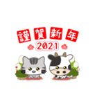 お正月用あめにゃんスタンプ【2021】（個別スタンプ：1）