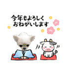 リトルと年末年始（個別スタンプ：5）