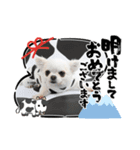 リトルと年末年始（個別スタンプ：6）