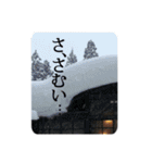 きちんと大人スタンプ～年末年始 2021～（個別スタンプ：13）