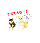 豆柴親子ぼたんとてつこのスタンプDX 2（個別スタンプ：20）