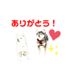 豆柴親子ぼたんとてつこのスタンプDX 2（個別スタンプ：28）