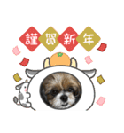 2021年末年始 シーズー犬ぽぽ（個別スタンプ：9）