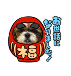 2021年末年始 シーズー犬ぽぽ（個別スタンプ：12）