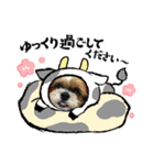 2021年末年始 シーズー犬ぽぽ（個別スタンプ：14）