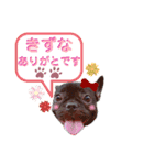 風丸くんと風夏ちゃんの色んなスタンプ（個別スタンプ：2）