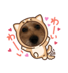 うちのワンちゃんシリーズ3（モカとミル）（個別スタンプ：3）