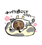 うちのワンちゃんシリーズ3（モカとミル）（個別スタンプ：4）