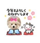 うちのワンちゃんシリーズ3（モカとミル）（個別スタンプ：6）
